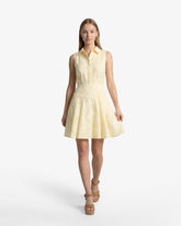 Brighton Mini Collared Dress in Striped Fil Coupe