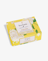 Hydrangea Mini Petite Presentation Box