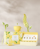 Hydrangea Gift Set