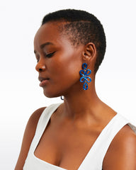 Lapis Acetate Drops