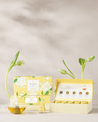 Hydrangea Presentation Box